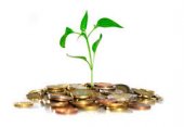 venture capital