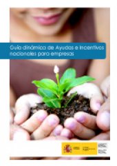 portada guía ayudas