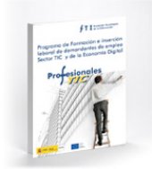 Programa Profesionales TIC